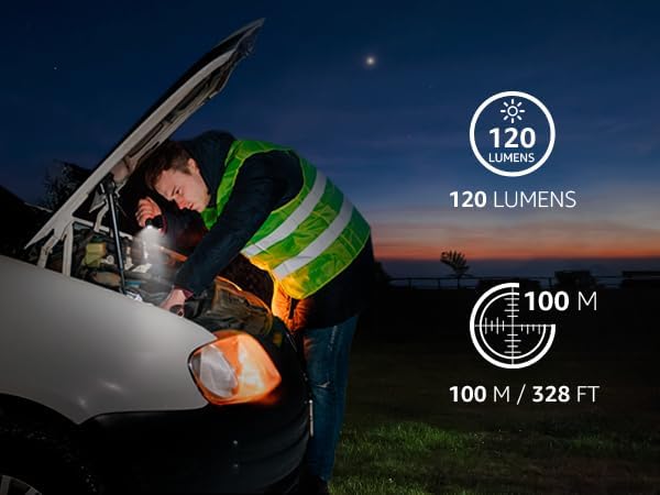 Lepro LED 懐中電灯 小型 ペンライト 2個セット 【高輝度/明るさ120ルーメン/3段階調光/電池式/防水/アルミ合金製/高耐久】 クリップ付き 携帯便利 作業 防災 ライト ハンディライト 単四電池付き（充電池対応不可） 2個入 [120023-2]