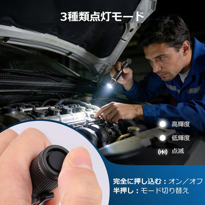 Lepro LED 懐中電灯 小型 2個入り【高輝度/明るさ300ルーメン/3段階調光/単三電池式/防水/アルミ合金製/高耐久】 携帯便利 作業 防災 ライト ハンディライト 2本単三電池対応 電池付属 家庭用 防犯 アウトドア キャンプ 防災 非常用[120032-2]