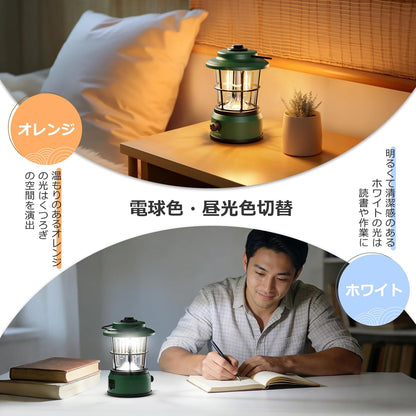 Lepro ランタン USB充電式 レトロ LEDランタン おしゃれ キャンプランタン アンティーク風 ソロキャンプ【高輝度/昼光色・電球色・昼白色切替/無段階調光】クラシカル らんたん アウトドア キャンプ 登山 夜釣り 防災 停電 緊急 非常用 グリーン [330047-GN]