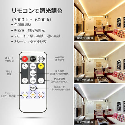 Lepro テープライト led 5m 12V 電球色・昼白色・昼光色 明るさ調整 間接照明 リモコン付き 調光調色 イルミネーションライト 3ピン 2835SMD カット可能 取付簡単 非防水 店舗 室内 ホーム装飾用 DIY