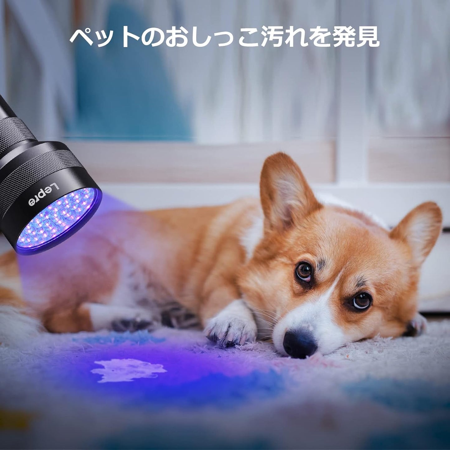 Lepro ブラックライト led UVライト レジン用 硬化 51LED 紫外線 395nm 高出力タイプ 単3形電池対応 アルミ合金材質 レジン用硬化/ペットのオシッコ/見えない汚れのチェック/トイレ掃除/蓄光素材への蓄光/鉱物宝石等の確認に (ブラック)