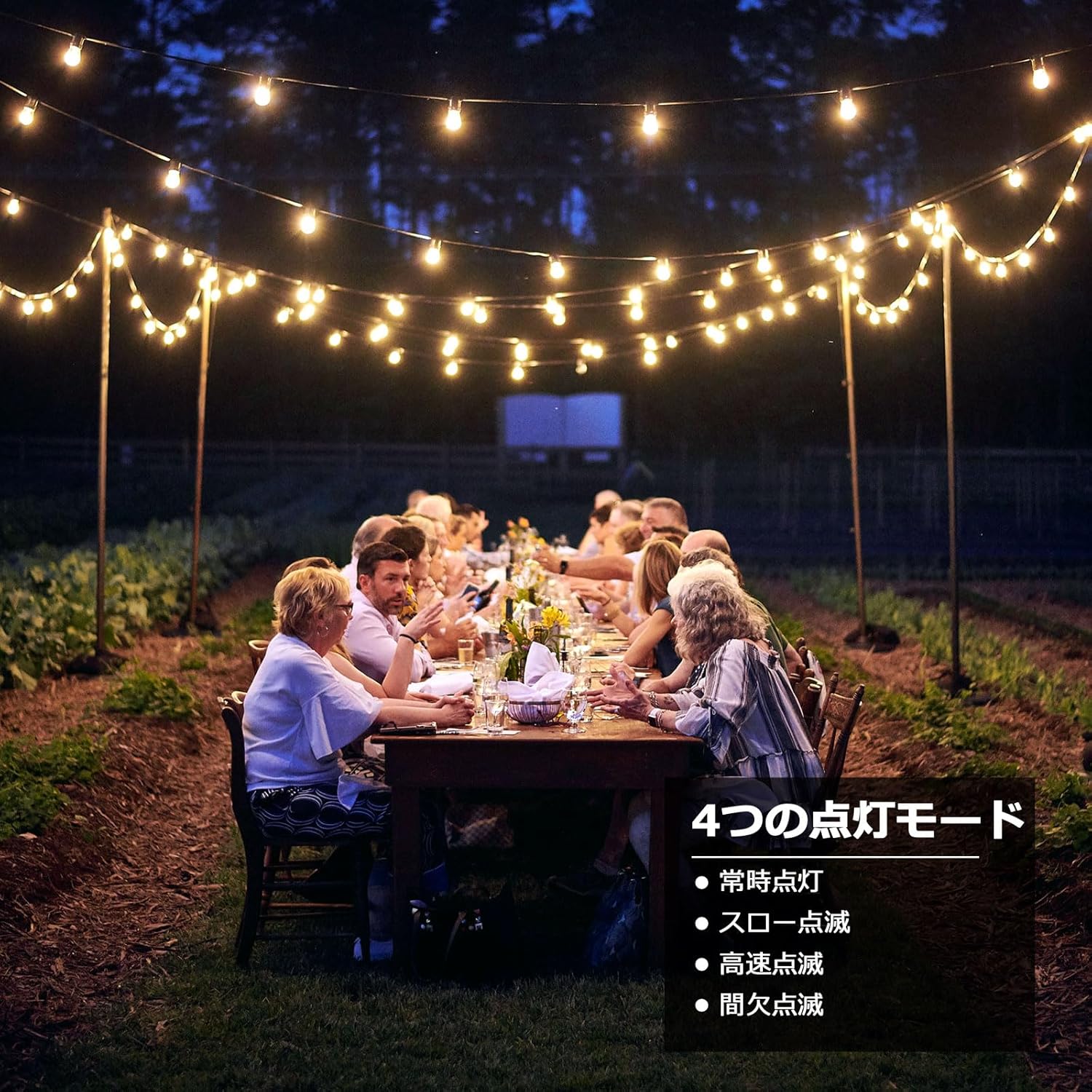 Lepro ソーラー LEDストリングライト 防雨 USB充電式 25ft 25球 G40