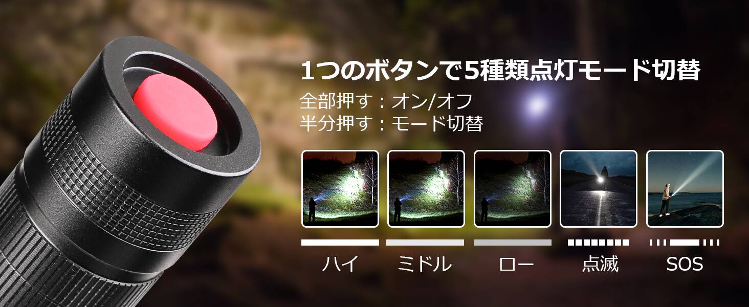 lepro
